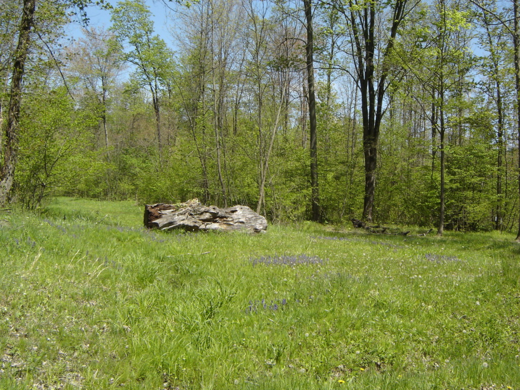 Campground Sales Lake Village Campground